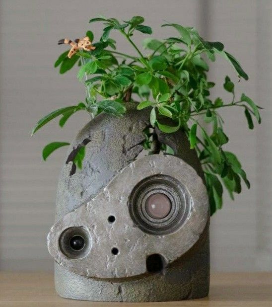 there is a plant growing out of the top of a stone vase with speakers on it