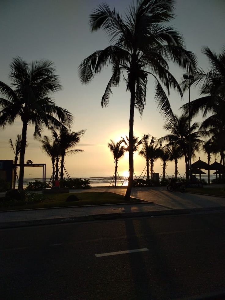 Palm trees in front of a beach with the sun rising behind the trees. Da Nang Vietnam, Danang, Da Nang, Vietnam, Good Morning, Places To Visit