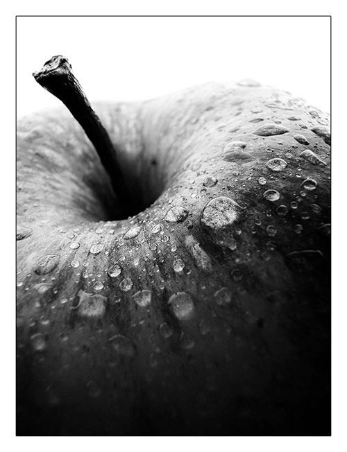 black and white photograph of an apple with water droplets on it's surface,