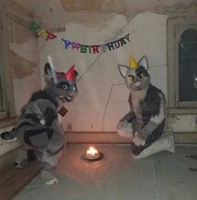 two cats sitting on the floor in front of a birthday cake