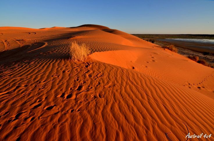 the sand dunes are covered in bright orange colors