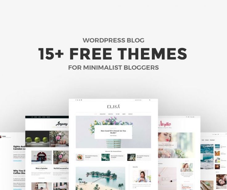 the best wordpress themes for minimalist bloggers in this month's blog