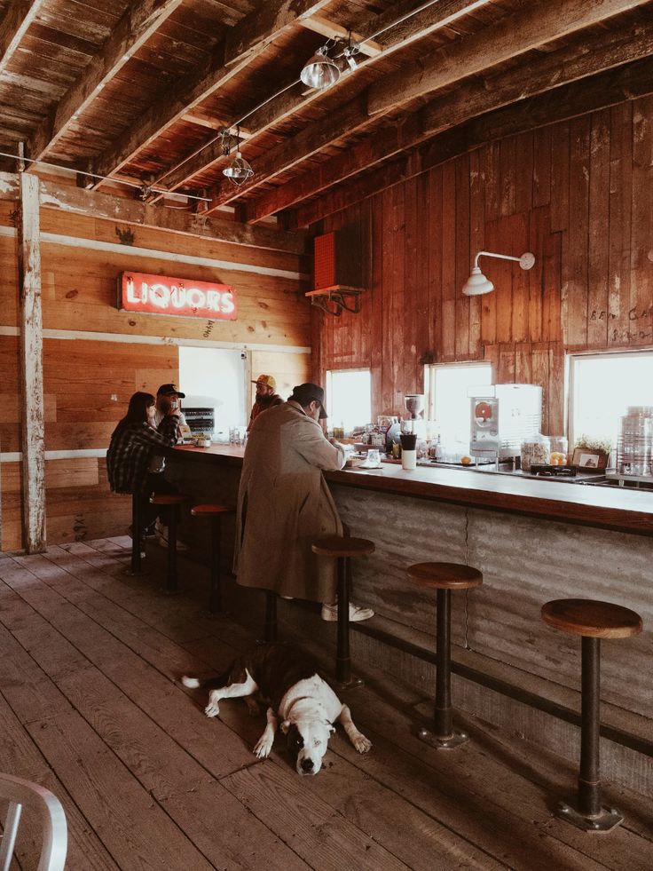 a man sitting at a bar with two dogs laying on the floor