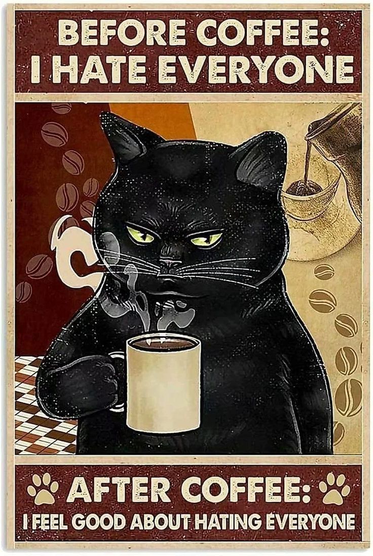 Koci Humor, Black Cat Lover, I Hate Everyone, Hate Everyone, Plakat Design, Coffee Poster, Simple Acrylic Paintings, Cat Wall Art, Cat Posters