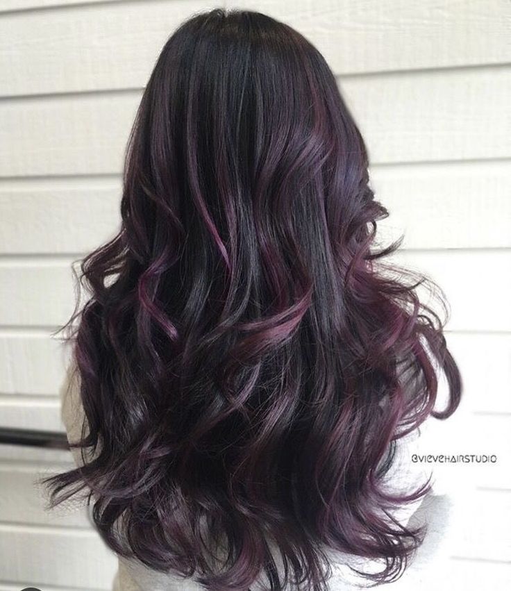 Plum Peekaboo Highlights, Eggplant Bayalage Hair, Dark Hair With Eggplant Highlights, Plum Balayage Hair Brunettes, Brown And Plum Hair, Plum Balayage Hair, Purple Bayalage Hair, Plum Hair Highlights, Plum Balayage