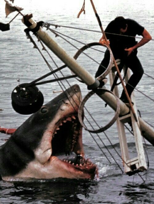 a man standing on top of a boat in the water next to a shark with its mouth open