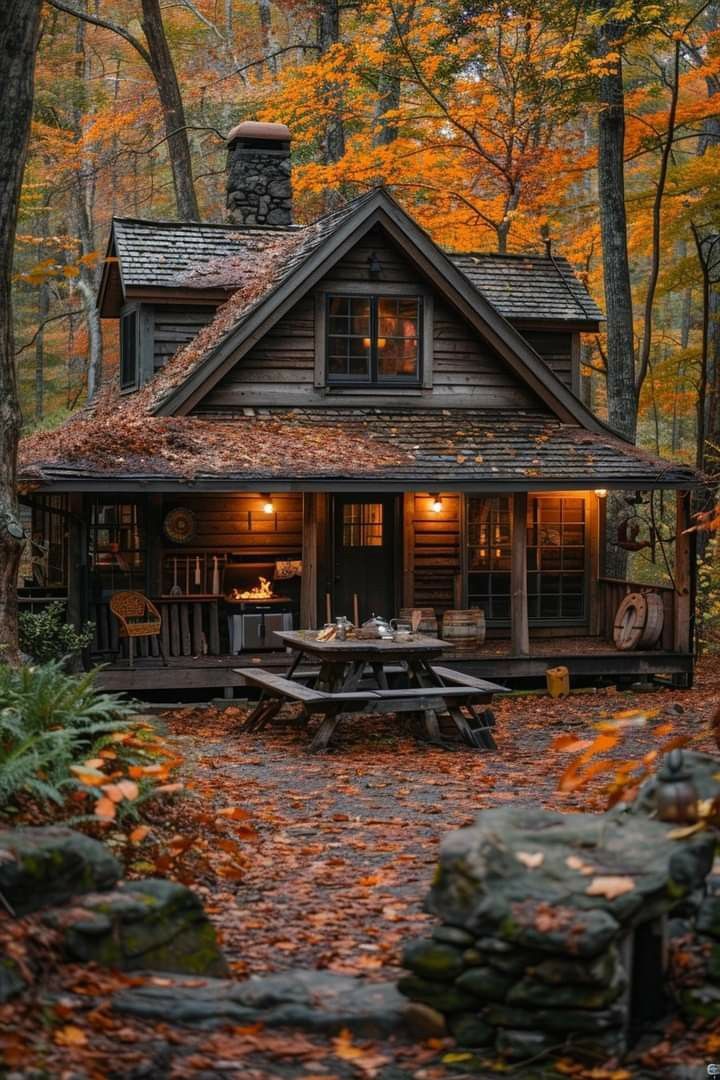 a cabin in the woods surrounded by trees with leaves on the ground and lights on