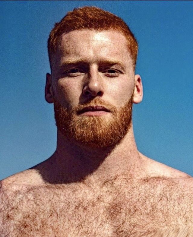 Red Bearded Men, Ginger Men With Beards, Ginger Haired Men, Handsome Ginger Men, Handsome Redhead Men, Men Face Reference, Red Hair Man, Red Head Men, Red Haired Men