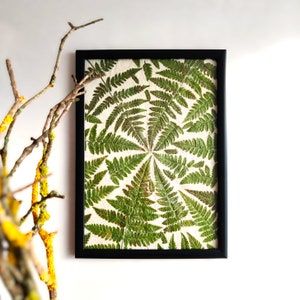 a green leafy plant is hanging on the wall next to a vase with yellow flowers