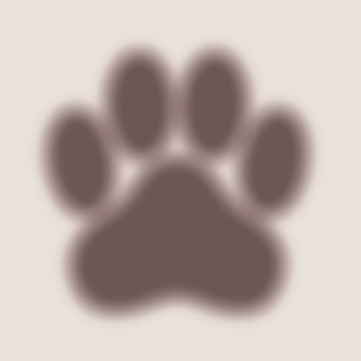 cat paw widget icon aesthetic catlover Widget Icon Cat, Aesthetic Paw Print, Cat Paws Aesthetic, Paw Print Aesthetic, Cat Widget Icon, Cat Paw Aesthetic, Cat Paw Wallpaper, Icon Widget Aesthetic, Circular Widget