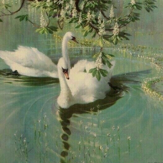 a painting of two swans swimming in the water under a tree with white flowers on it