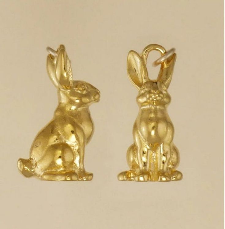 bunny rabbit pendant Rabbit Jewelry, Rabbit Charm, Rabbit Pendant, Gold Girl, Medieval Jewelry, Silver Chains, Animal Jewelry, Husband Wife, Gold Filled Chain