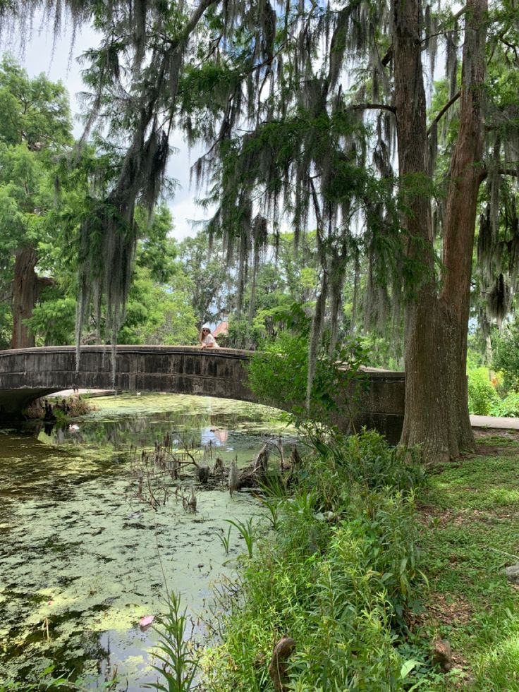 a bridge over a small pond surrounded by lush green trees and mossy vegetation in the foreground