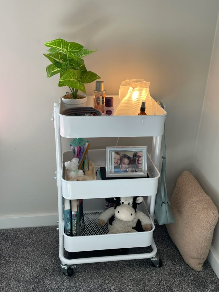 a white shelf with a potted plant on top of it next to a stuffed animal