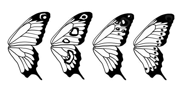 four butterflies are lined up in a row