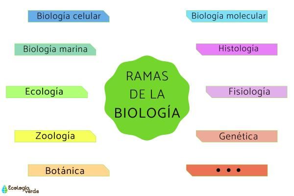 the names of different languages in spanish and english on a white background with green circle