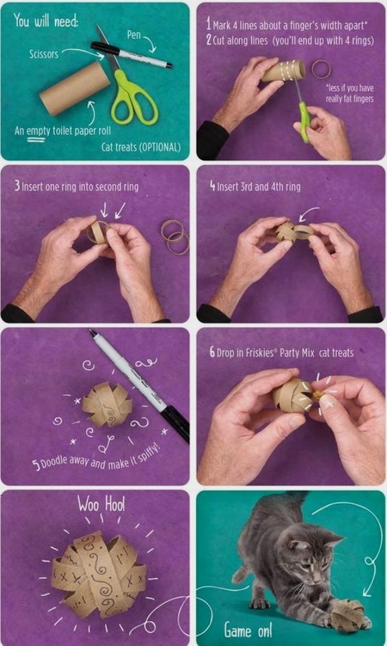 instructions to make an origami cat with scissors and paper machs on purple background