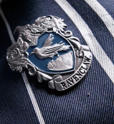 a lapel badge on a blue and white striped shirt