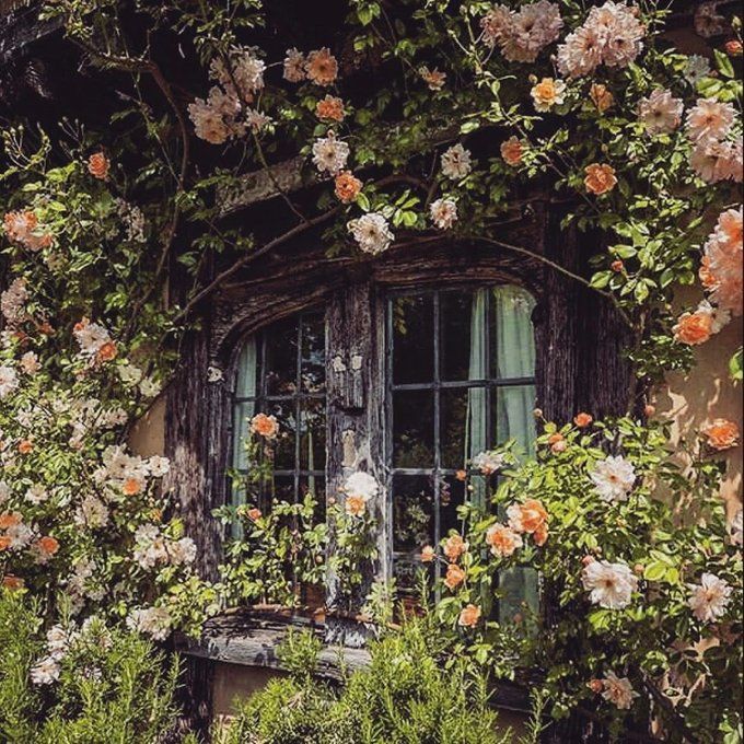 an old window surrounded by flowers and greenery