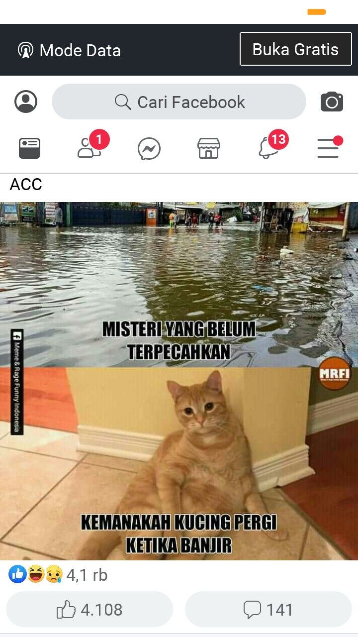 Meme Lucu Kucing Kebanjiran Di 2020 Meme