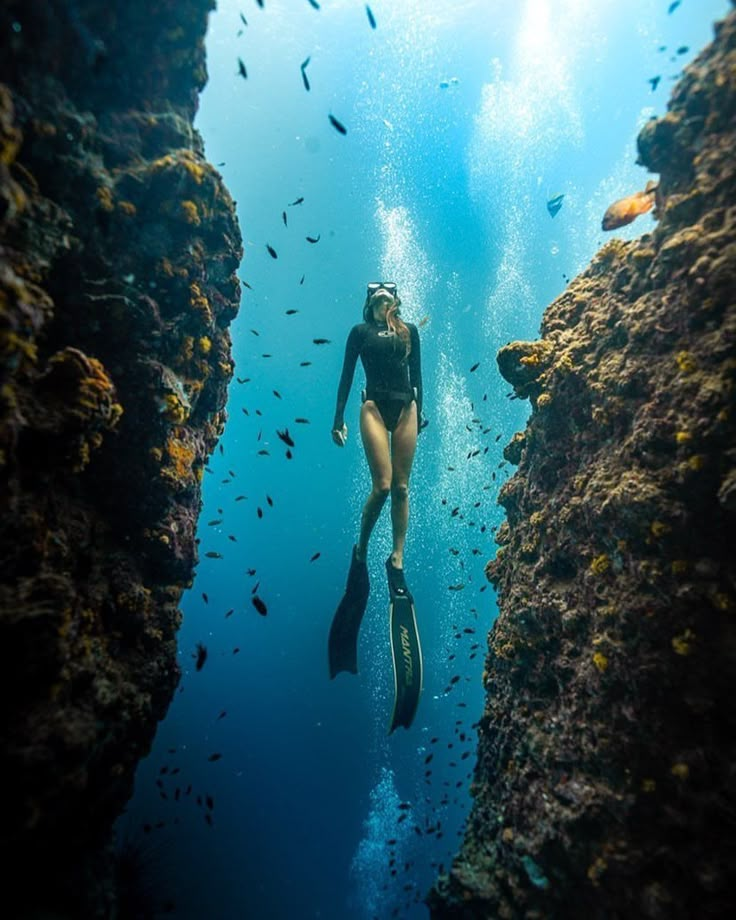 Life Below Water, Freediving Photography, Snorkeling Pictures, Ocean Diving, Free Dive, Scuba Tank, Sea Diving, Diving Board, Scuba Dive