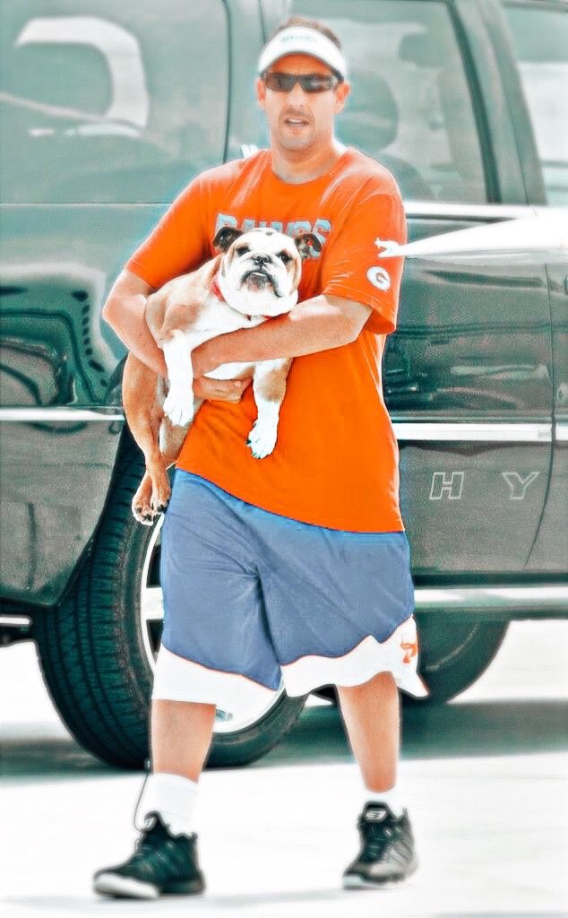 a man in an orange shirt is holding a small white and black dog on his arm