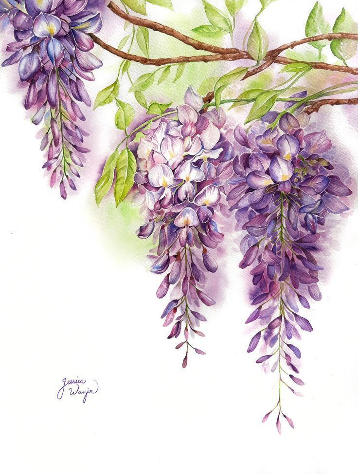 a painting of purple flowers on a branch