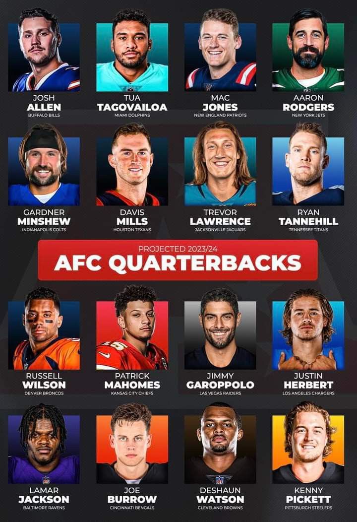 an image of the nfl team roster