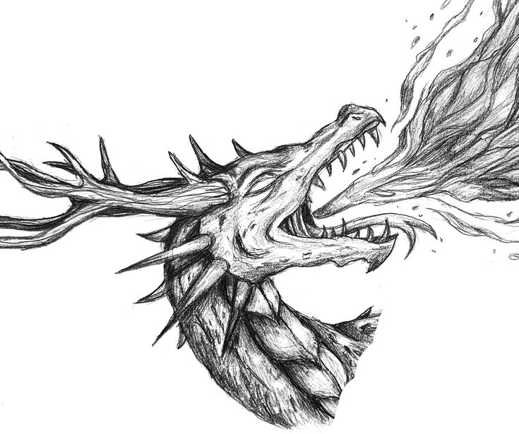 a drawing of a dragon's head with its mouth open and flames coming out