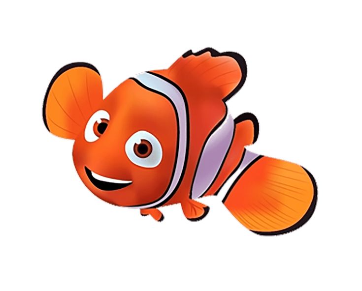 an orange and white clown fish with big eyes on it's face, smiling