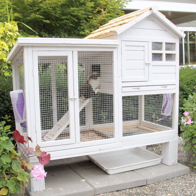 a large white chicken coop sitting on top of a cement slab in front of flowers