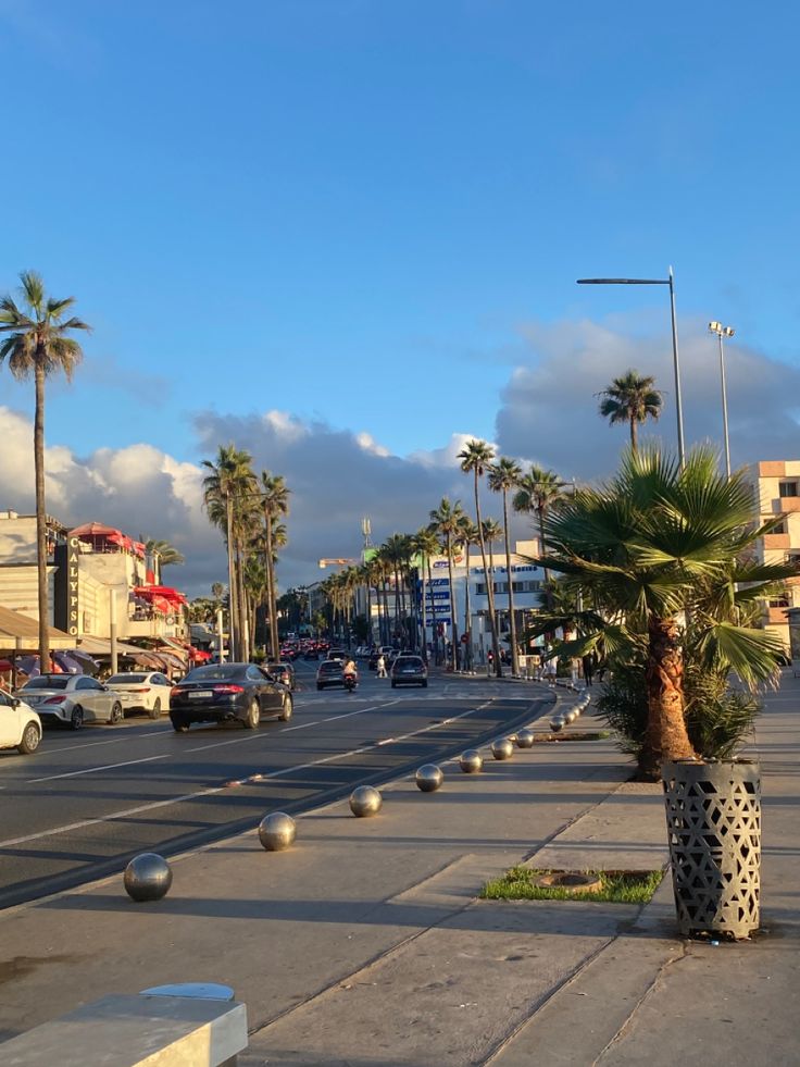 a palm tree in the middle of a city street with cars driving by on both sides