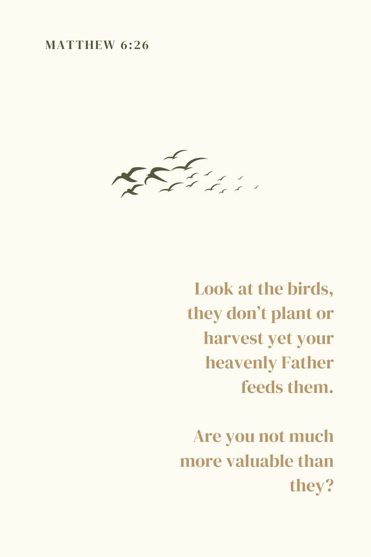 birds flying in the sky with a bible verse on it's front cover that reads, look at the birds, they don't plant or harvest yet your heavenly father feeds them