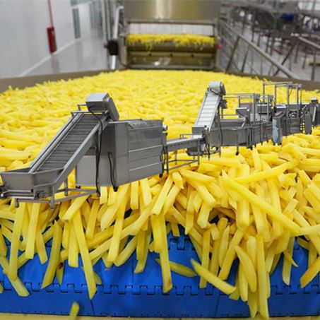 a conveyor belt filled with yellow french fries