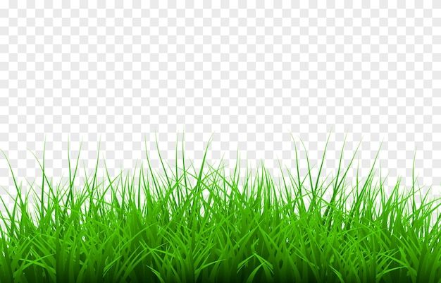 green grass on a white background, with no image in the top right hand corner