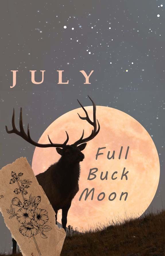 a deer standing on top of a grass covered hill under a full moon with the words july written below it