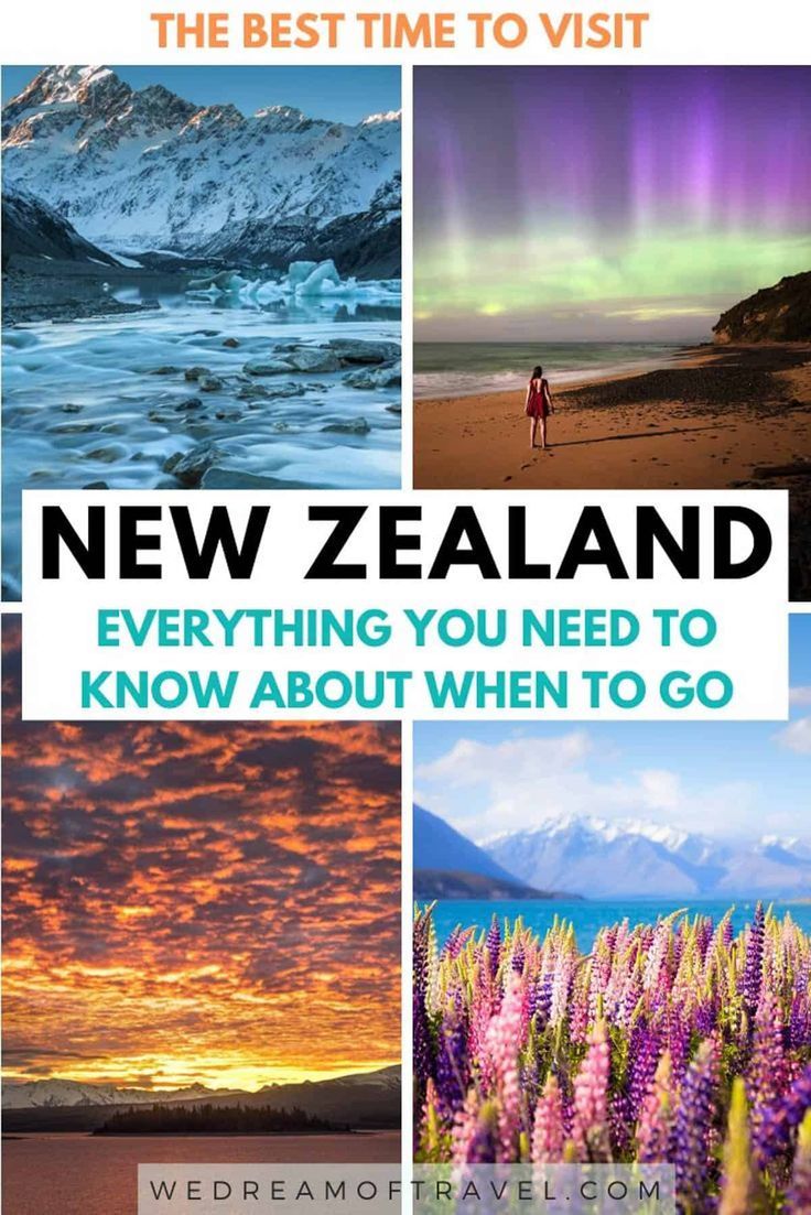 the best time to visit new zealand everything you need to know about when to go