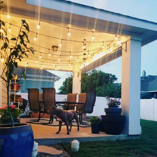 a dog standing under a covered patio with chairs and lights on it's roof