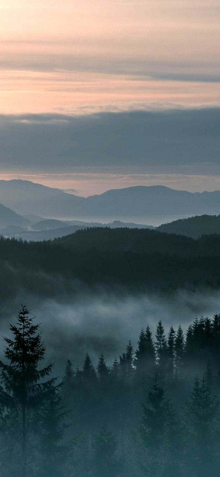 fog covers the trees and mountains as the sun sets