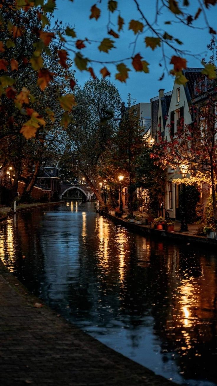 a river running through a small town at night with lights on the buildings and trees