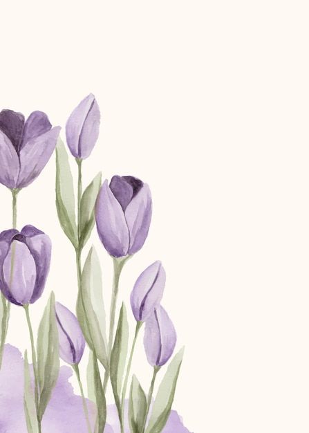 watercolor painting of purple tulips on white background