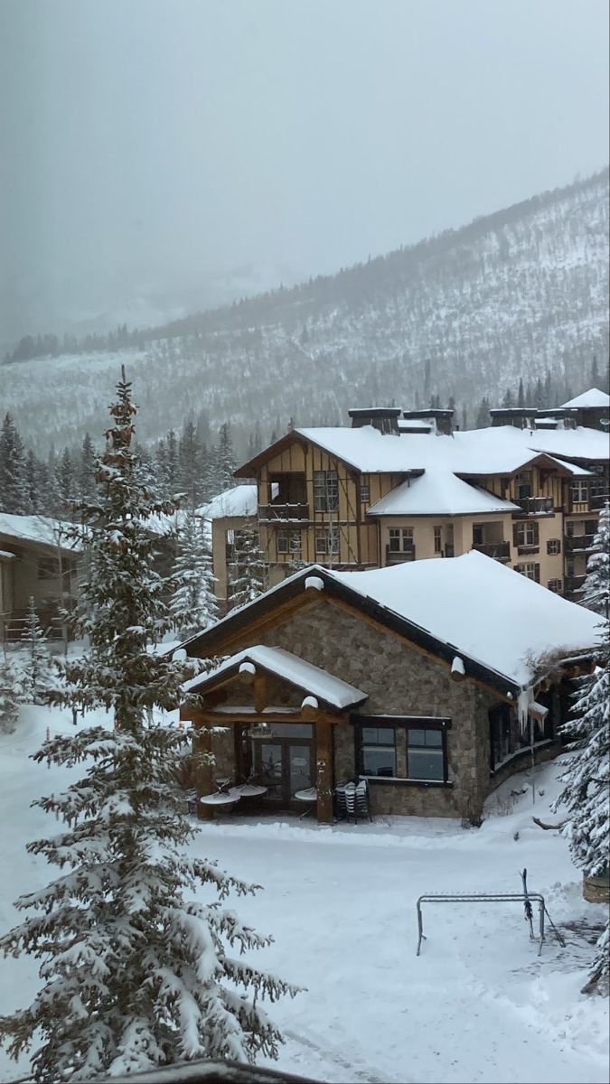 a snow covered ski lodge surrounded by pine trees