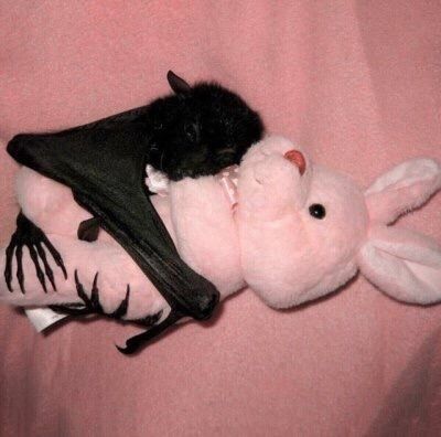 a stuffed animal with a bat on it's back laying on a pink blanket