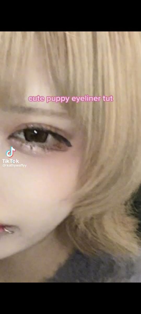 Puppy Eyeliner Aesthetic, How To Do Puppy Eyeliner, Puppy Eyeliner Makeup, Puppy Liner Makeup, Puppy Eyeliner Tutorial, Puppy Eye Makeup, Puppy Eyes Makeup, Puppy Eyeliner, Doll Makeup Tutorial