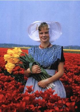 a woman standing in a field with yellow and red tulips holding a bouquet