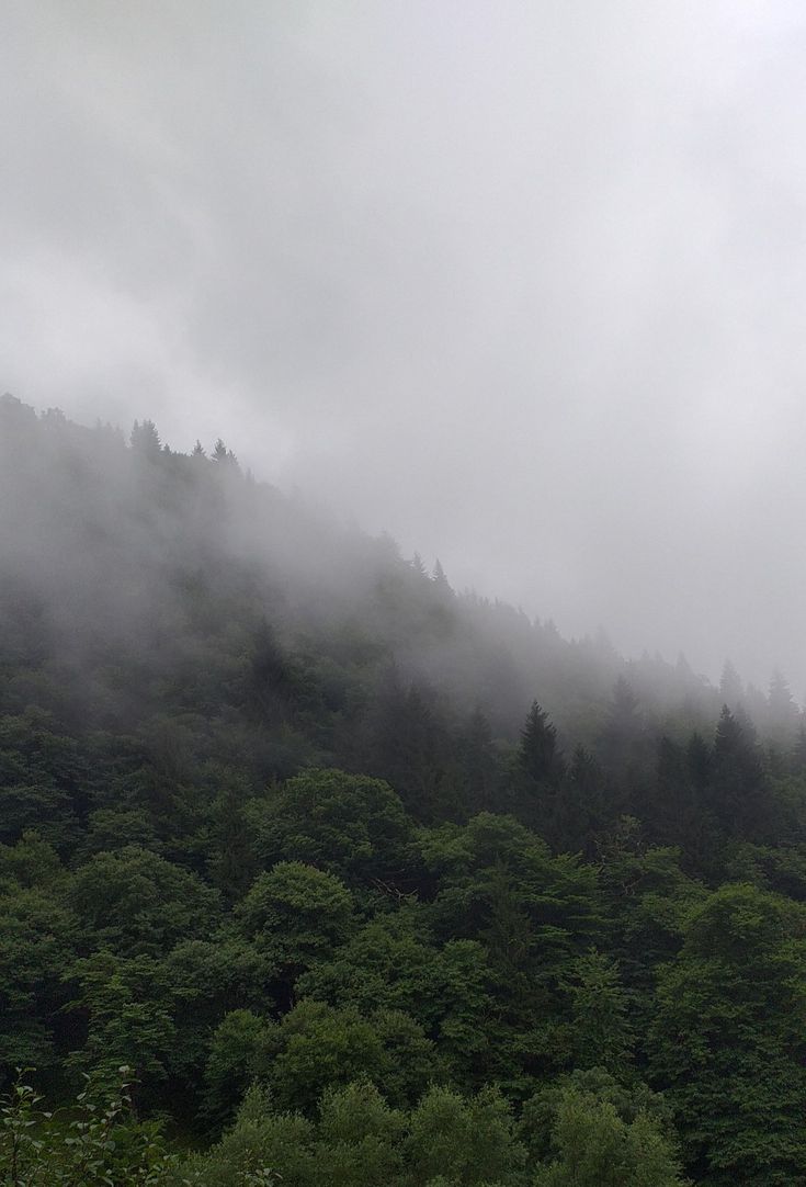 the mountains are covered in fog and low lying clouds, with trees on either side