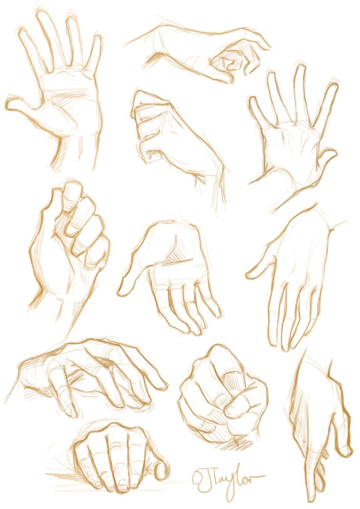 several hands are shown with different gestures and positions in the drawing style, including one pointing at