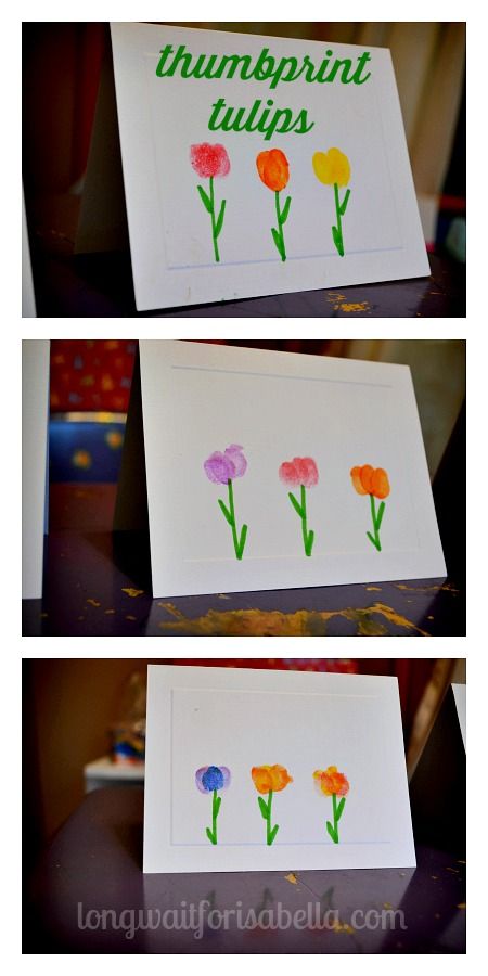 three pictures of flowers with the words humpprint tulips written on them