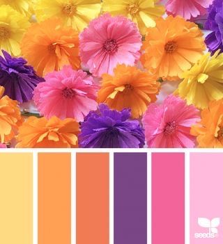 the color scheme is bright and colorful, with different flowers on each side in shades of pink