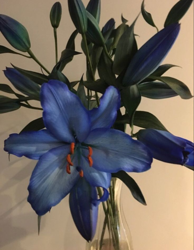 a vase filled with blue flowers on top of a table